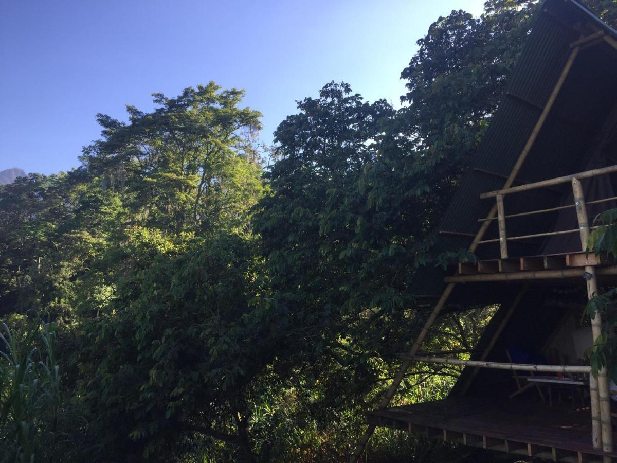 Glamping El Árbol en la Casa Villa San Antonio del Tequendama Esterno foto