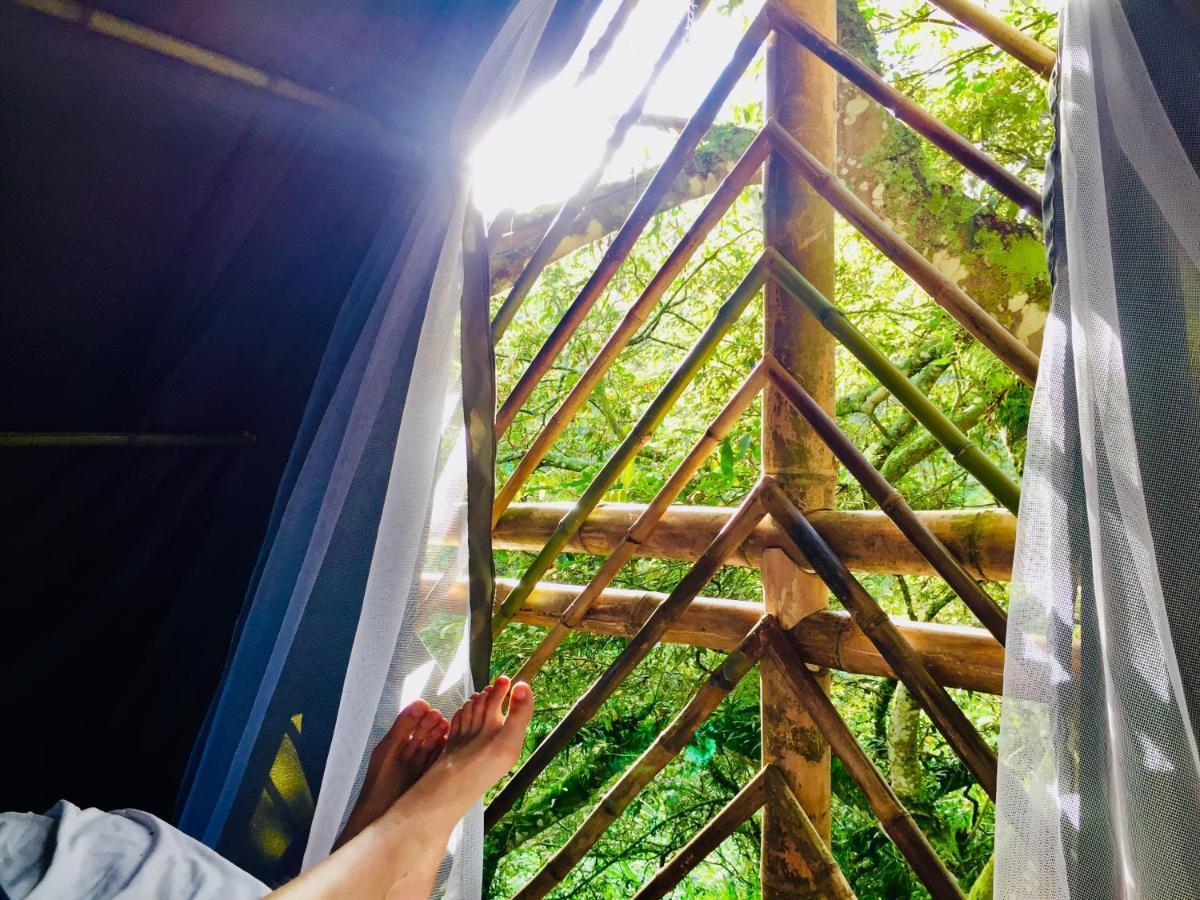 Glamping El Árbol en la Casa Villa San Antonio del Tequendama Esterno foto