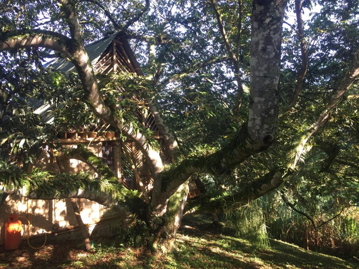 Glamping El Árbol en la Casa Villa San Antonio del Tequendama Esterno foto