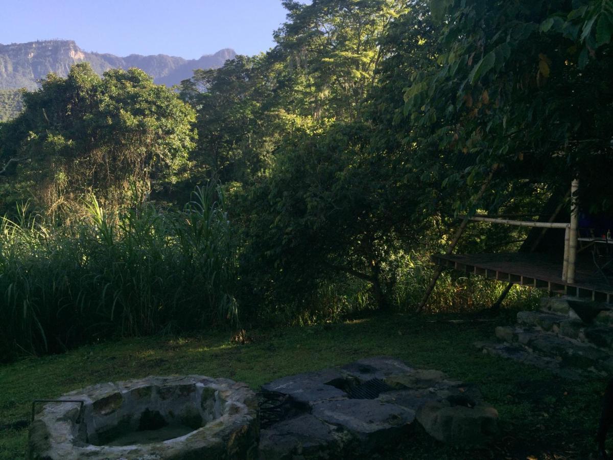 Glamping El Árbol en la Casa Villa San Antonio del Tequendama Esterno foto