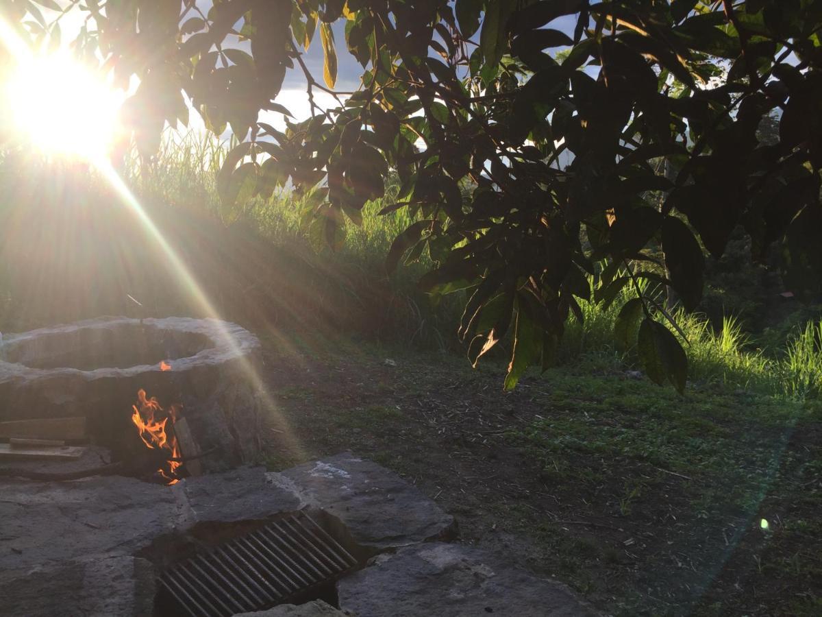 Glamping El Árbol en la Casa Villa San Antonio del Tequendama Esterno foto