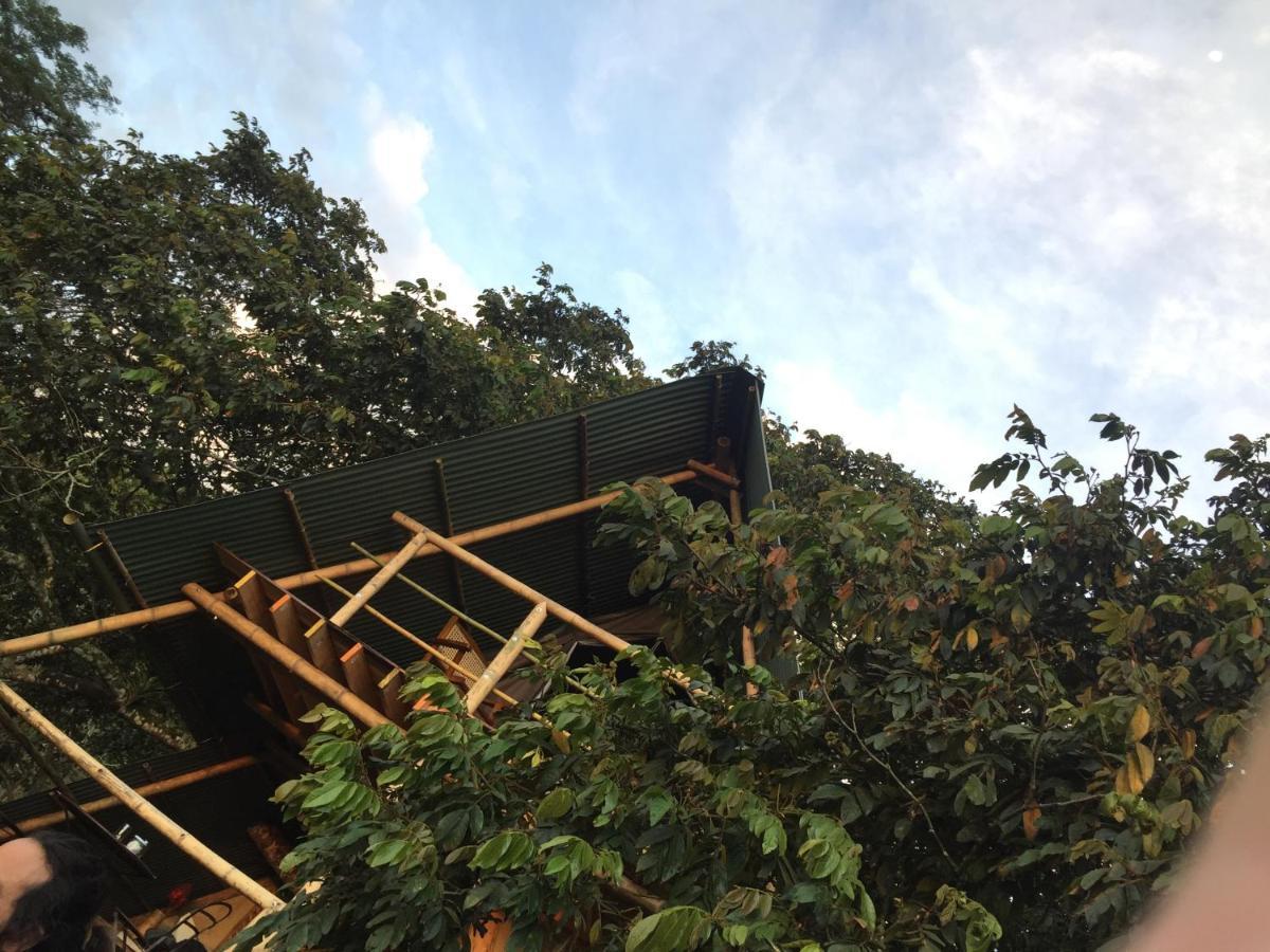 Glamping El Árbol en la Casa Villa San Antonio del Tequendama Esterno foto