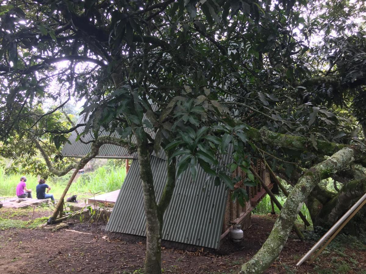 Glamping El Árbol en la Casa Villa San Antonio del Tequendama Esterno foto