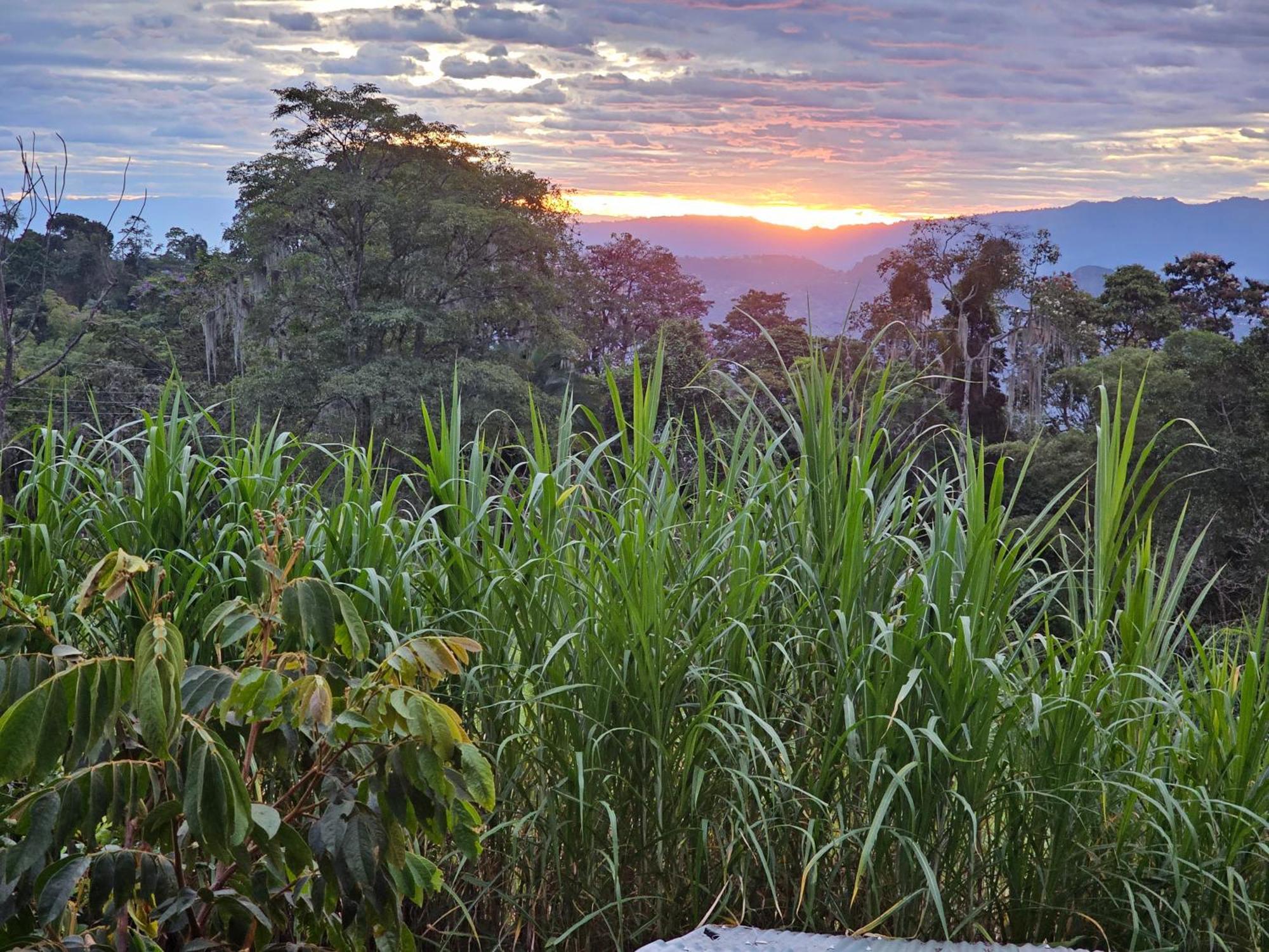 Glamping El Árbol en la Casa Villa San Antonio del Tequendama Esterno foto